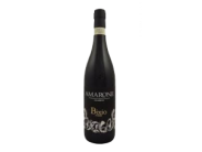 Bixio Amarone Classico